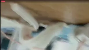 얼공 미혼모 하루 인스타 라방 올노자위 - 국산야동 한국야동