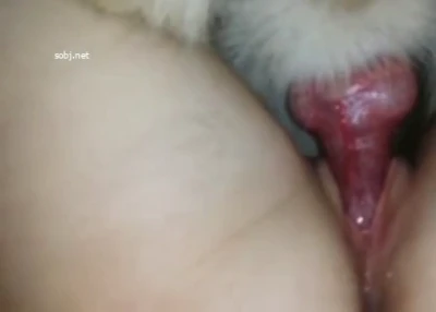 충격!! 개와 떡치는 어린처자 4