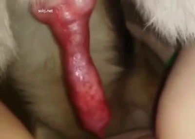 충격!! 개와 떡치는 어린처자 3